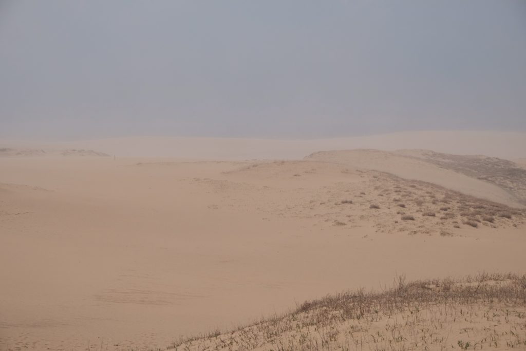 旅♯3　砂漠？否、鳥取の砂丘。