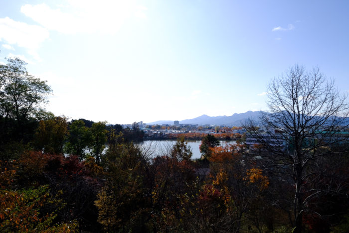白鳥が飛来した盛岡・高松の池と冬の始まり。【カメラと写真】