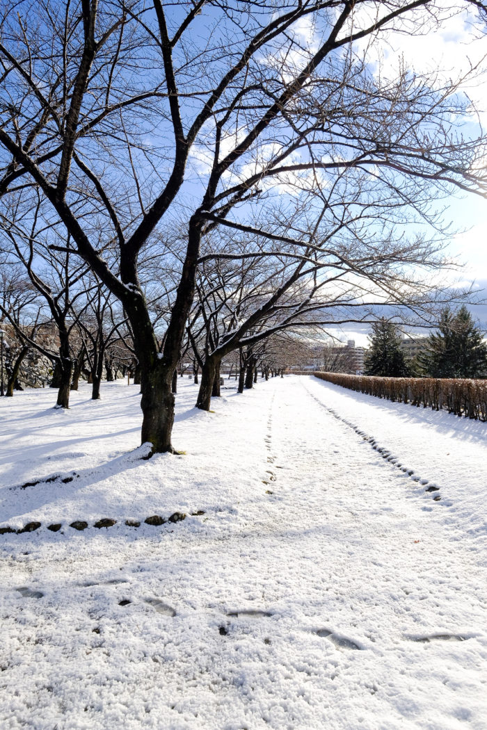 2019年も残り1週間。雪化粧した盛岡の街をフォトウォーク【カメラと写真】