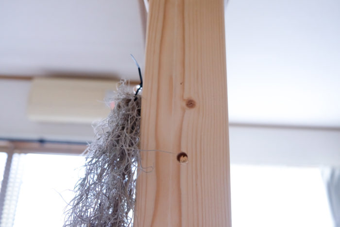 部屋の柱に無垢の止まり木フック。シンプルな木製のフックを部屋に取り付けました。【槿ノ里】