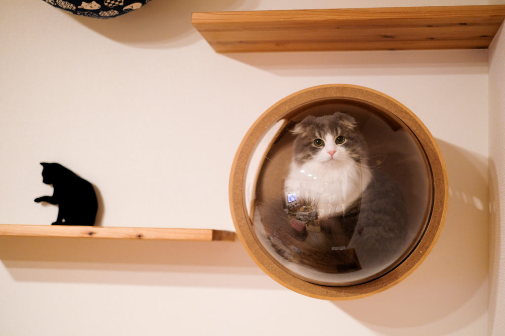 宇宙船のような猫の家。『MYZOO GAMMA』【インテリアに馴染む猫ハウス】