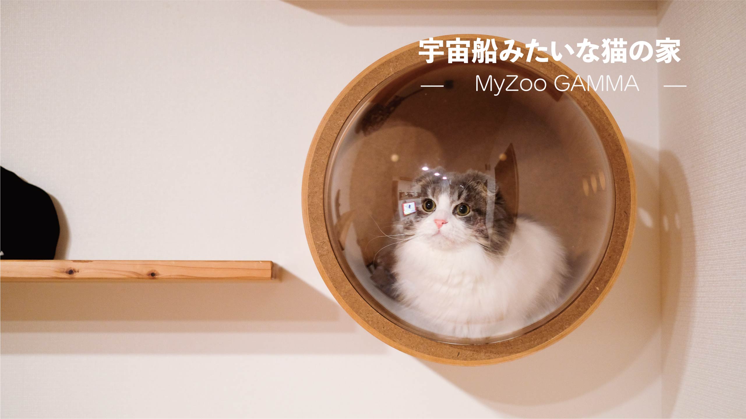 MYZOO マイズー 宇宙船 ウォーク #猫 壁付けタイプ猫用ベッド