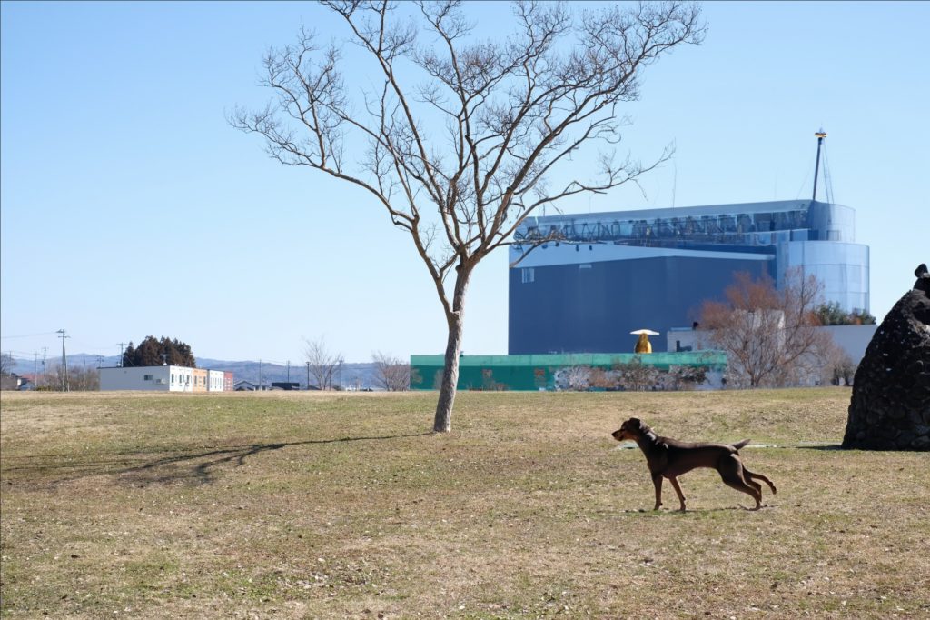 広い公園の写真にAI画像の犬と建物を追加